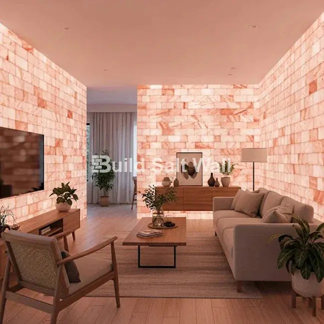 Himalayan Pink Salt Bricks 8" x 4" x 2" Pack of 1000 With 34 Salt Adhesive