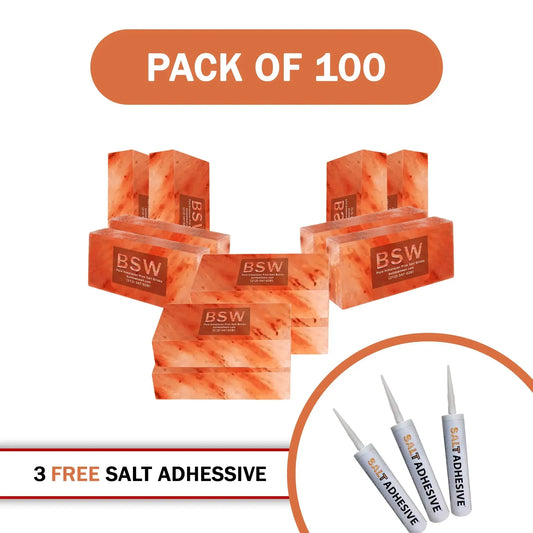Himalayan Salt Bricks 8" x 4" x 2" - Pack of 100 with 3 Salt Adhesive