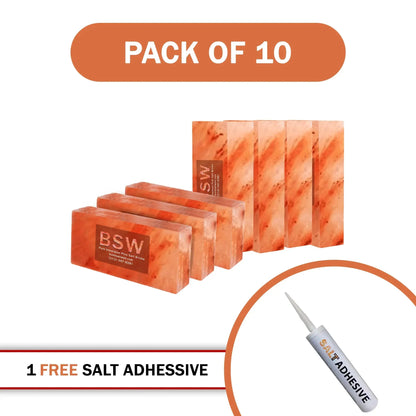 Himalayan Pink Salt Bricks 8" x 4" x 2" Pack of 10 With 1 Salt Adhesive