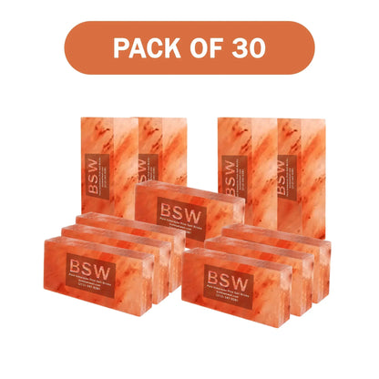 Himalayan Pink Salt Bricks 8" x 4" x 2" - Pack of 30