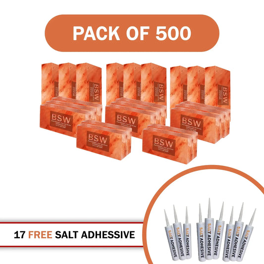 Himalayan Salt Bricks 8" x 4" x 2" Pack of 500 With 17 Salt Adhesive