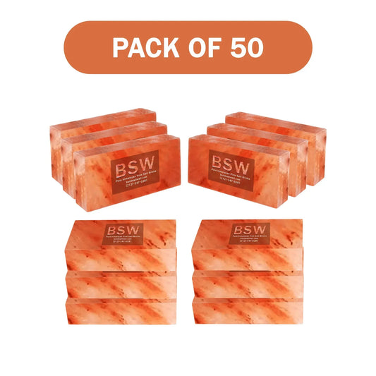 Himalayan Pink Salt Bricks 8" x 4" x 2" - Pack of 50