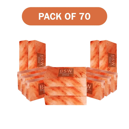 Pink Salt Bricks 8" x 4" x 2" - Pack of 70