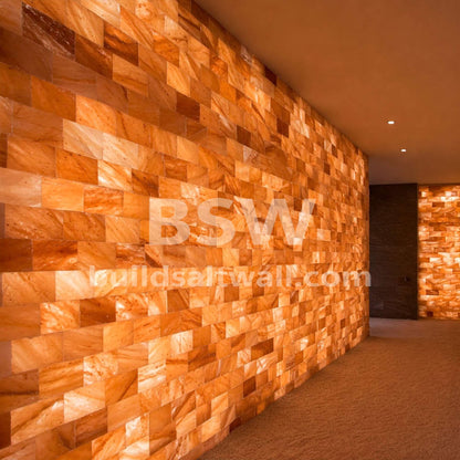 Build 40 sq. ft. Salt Wall (200 Himalayan Salt Tiles 8" x 4" x 1" and 6 Salt Adhesives)