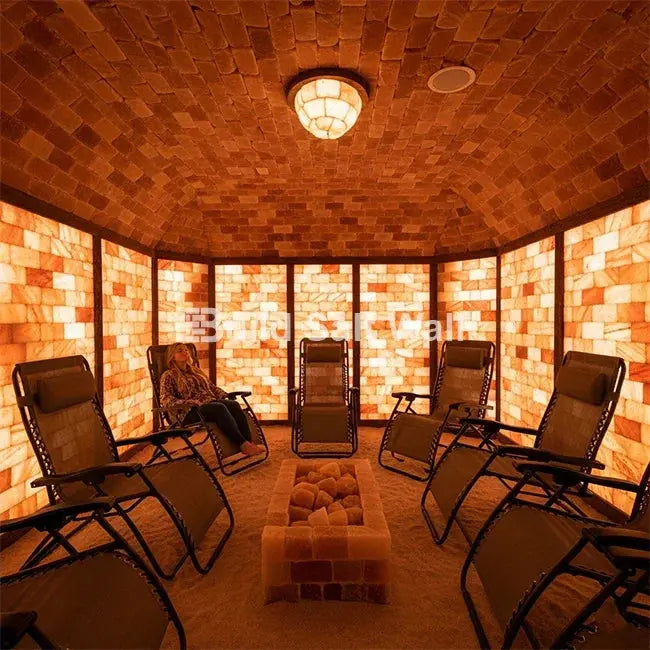 Himalayan Salt Bricks 8" x 4" x 2" - Pack of 100 with 3 Salt Adhesive