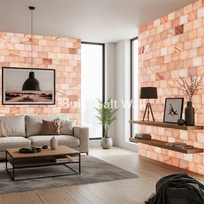Build 2 sq. ft. Salt Wall (10 Himalayan Salt Tiles 8" x 4" x 1" With 1 Salt Adhesives)