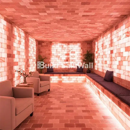 Himalayan Pink Salt Bricks 8" x 4" x 2" Pack of 10 With 1 Salt Adhesive