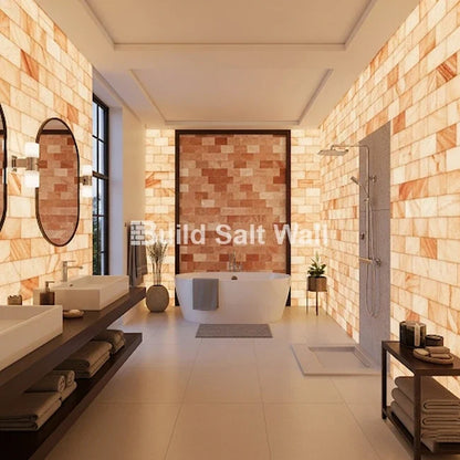Build 2 sq. ft. Salt Wall (10 Himalayan Salt Tiles 8" x 4" x 1" With 1 Salt Adhesives)