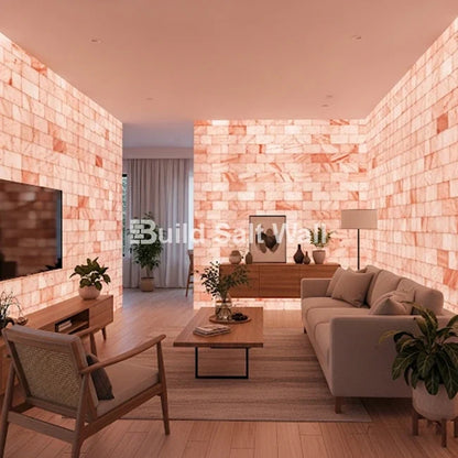 Build 2 sq. ft. Salt Wall (10 Himalayan Salt Tiles 8" x 4" x 1" With 1 Salt Adhesives)