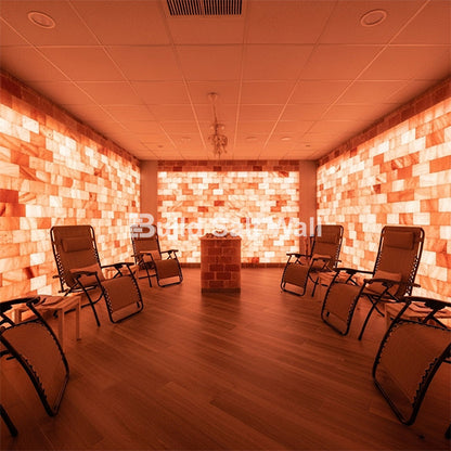 Build 40 sq. ft. Salt Wall (200 Himalayan Salt Tiles 8" x 4" x 1" and 6 Salt Adhesives)