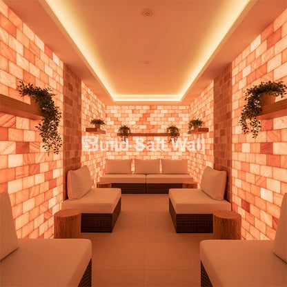 Build 10 sq. ft. Salt Wall With 50 Himalayan Salt Tiles and 2 Salt Adhesive