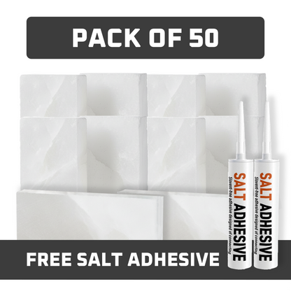 Himalayan White Salt Tiles 8" x 4" x 1" – Pack of 50 With 2 Salt Adhesive