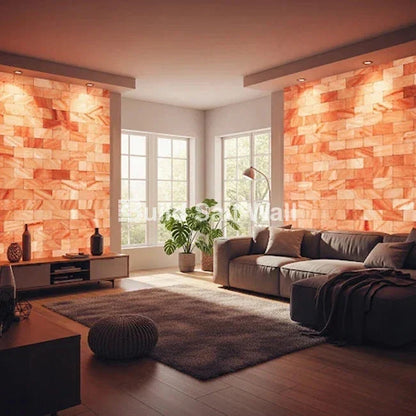 Himalayan Salt Bricks 8" x 4" x 2" - Pack of 500