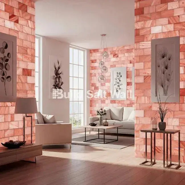 Himalayan Pink Salt Bricks 8" x 4" x 2" Pack of 1000 With 34 Salt Adhesive