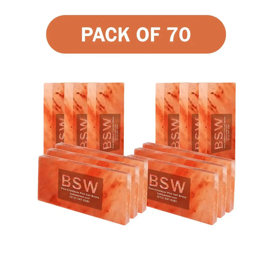 Himalayan Pink Salt Tiles 8" x 4" x 1"- Pack of 70